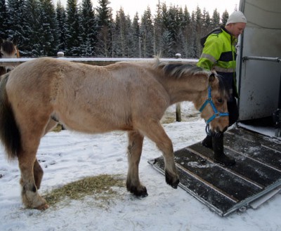 Det blir inte alltid som man vill u2013 Wallarp